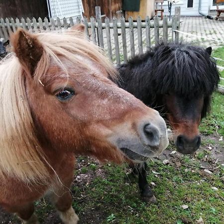 Apartmán Urlaub An Der Grenze Lauterbach  Exteriér fotografie