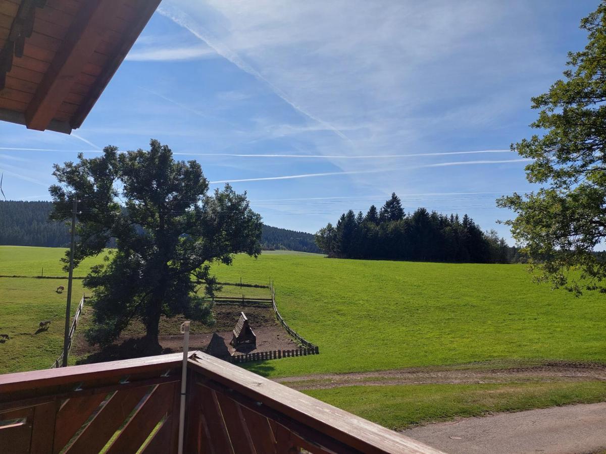 Apartmán Urlaub An Der Grenze Lauterbach  Exteriér fotografie