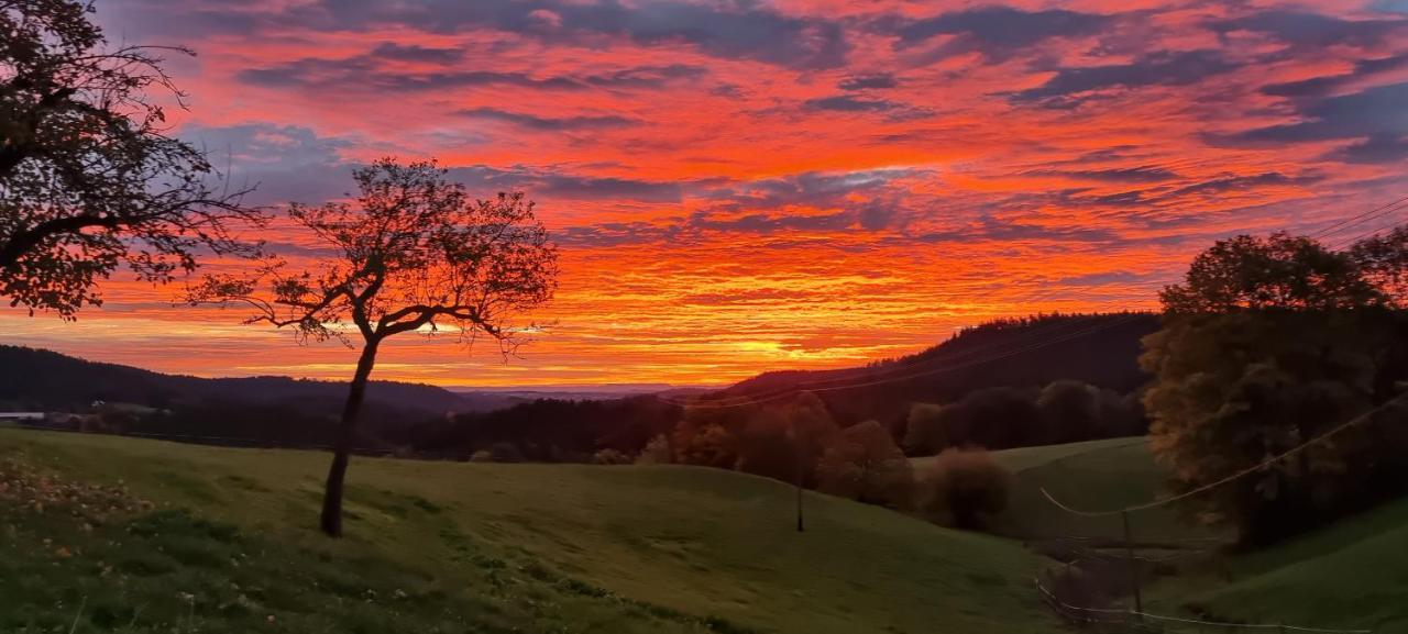 Apartmán Urlaub An Der Grenze Lauterbach  Exteriér fotografie