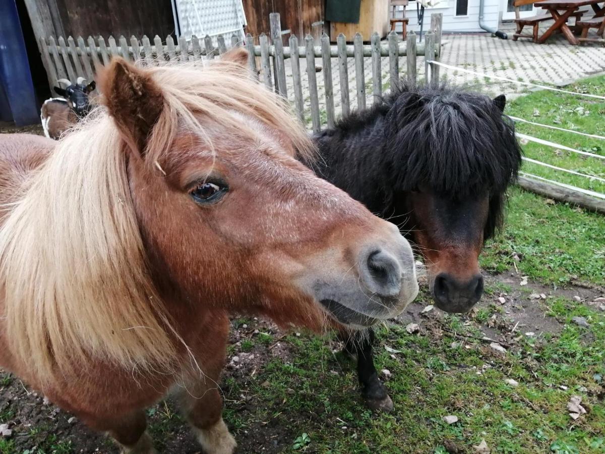 Apartmán Urlaub An Der Grenze Lauterbach  Exteriér fotografie