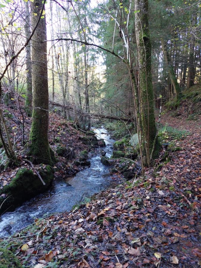 Apartmán Urlaub An Der Grenze Lauterbach  Exteriér fotografie