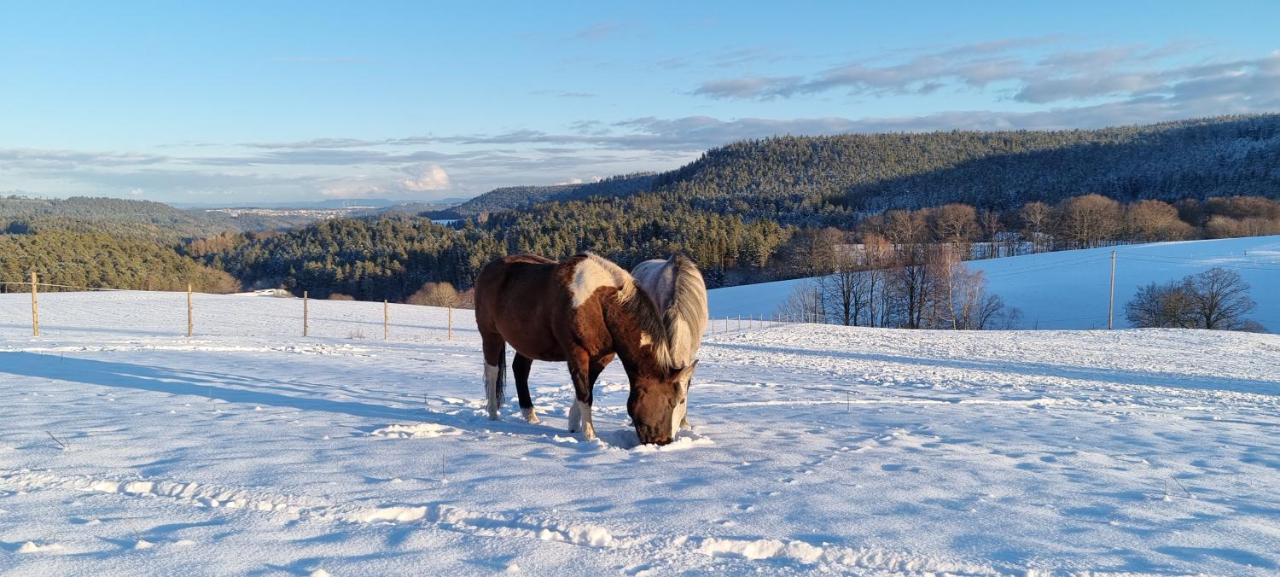 Apartmán Urlaub An Der Grenze Lauterbach  Exteriér fotografie